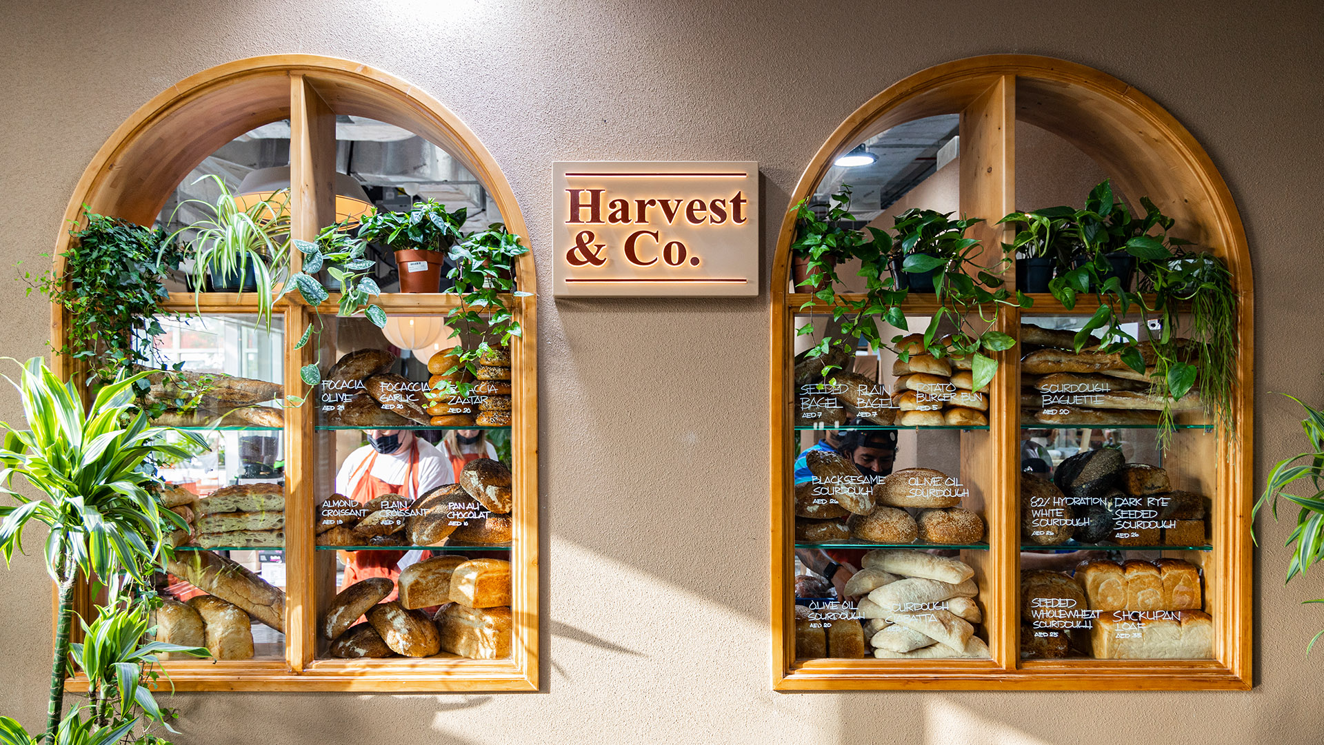 Harvest&Co
