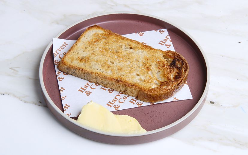 KIDS ON TOAST