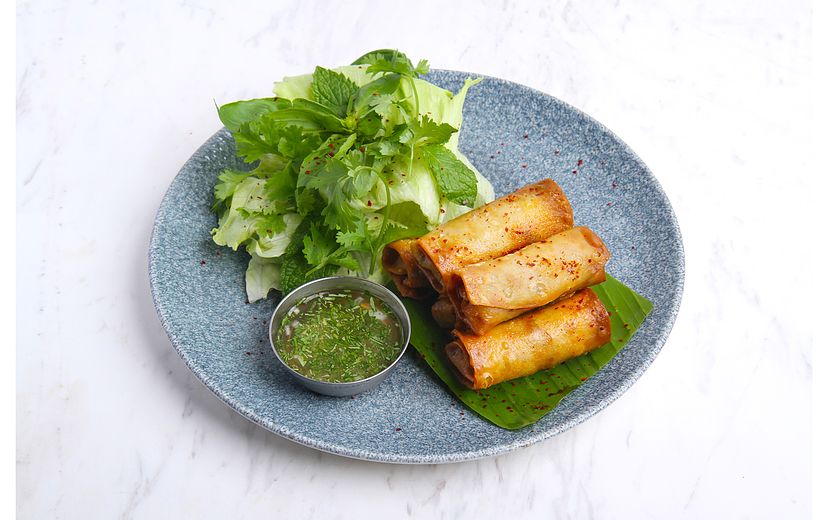 DUCK SPRING ROLLS